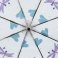 Paraguas largo señora transparente libélulas 106298
